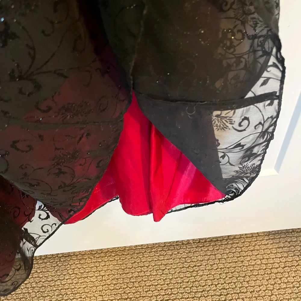 NWT Betsy & Adam Y2K sheer velvet burnout floral burgundy glittery formal dress - Picture 12 of 13